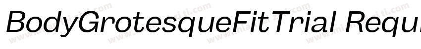 BodyGrotesqueFitTrial Reqular字体转换